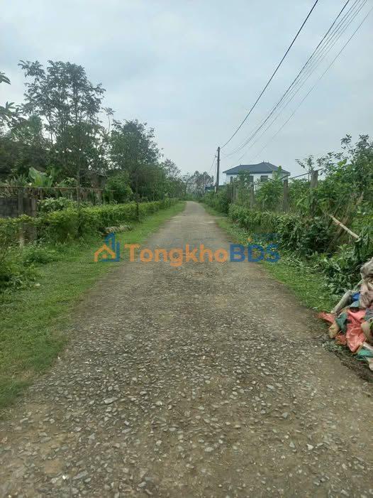 Bán Đất Vàng Thôn Bình Minh, TP Hà Tĩnh 184m² - Sổ Đỏ Sẵn Sàng