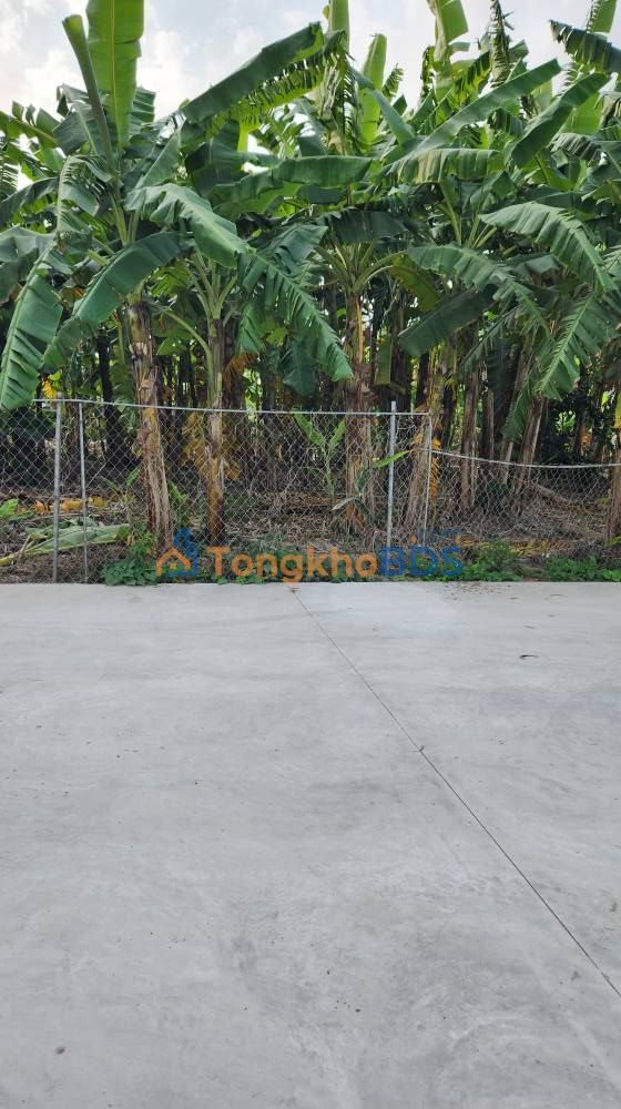 Đất nền 1266m² Xã Giao Phong, Nam Định - Mặt tiền 25.8m, Giá 3.5 tỷ