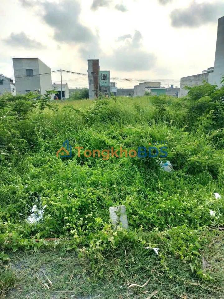 Đất Thổ Cư Sổ Hồng Riêng Đức Hòa Hạ - 125m² Giá Tốt