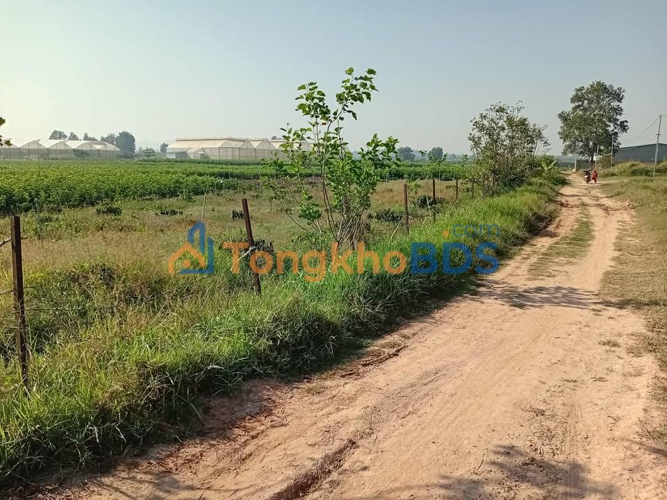 Đất Nền Lâm Hà 700m² - Sổ Đỏ Sẵn, Giá Chỉ 320 Triệu