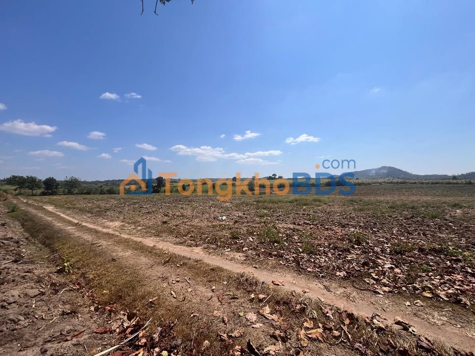 Đất Vườn Phú Giáo Bình Dương 1.7ha - 2 Mặt Tiền Đường, Giá 90 Tỷ