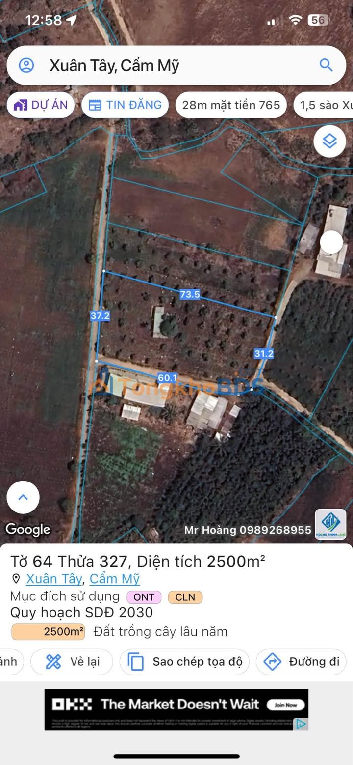 Đất Nền 10000m² Xuân Lộc - Cắt Lỗ Sâu, Sẵn Vườn Mít Thu Hoạch