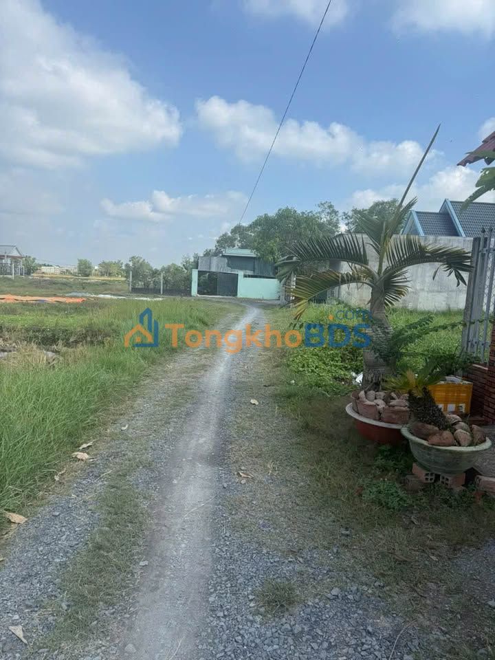 Đất thổ cư 2000m² Đức Hòa, Long An - Sổ hồng sẵn, giá 1.15 tỷ