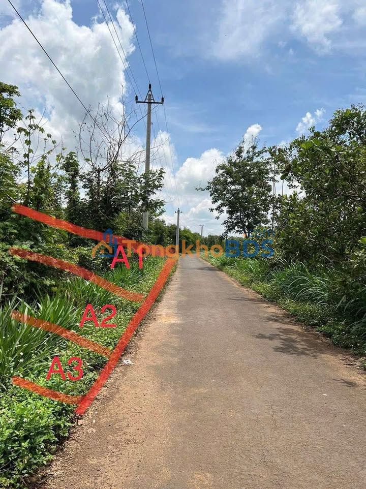 Đất nền Long Tân, Dầu Tiếng - 500m² - 5xx triệu/lô - Sổ đỏ sẵn sàng