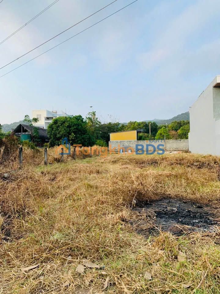 Đất Vàng Kim Dinh, Bà Rịa - 230m² Mặt Tiền Nhựa 6m, Giá 1.59 Tỷ