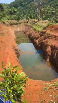 Bán Gấp Đất Vườn 24000m² Đức Thuận, Tánh Linh - Sổ Đỏ, Ô Tô Tận Nơi