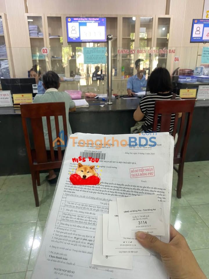 Đất nền Tân Phú, Đồng Phú 177.5m² - Sổ đỏ sẵn sàng giao dịch