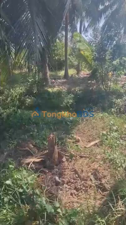 Đất nền Nhị Quý, Tiền Giang - 150m² giá 350 triệu, sổ hồng sẵn