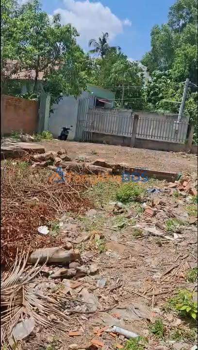 Đất Nền Mỹ Hạnh Trung, Cai Lậy - 85m² Giá 280 Triệu, Sẵn Sàng Xây Nhà