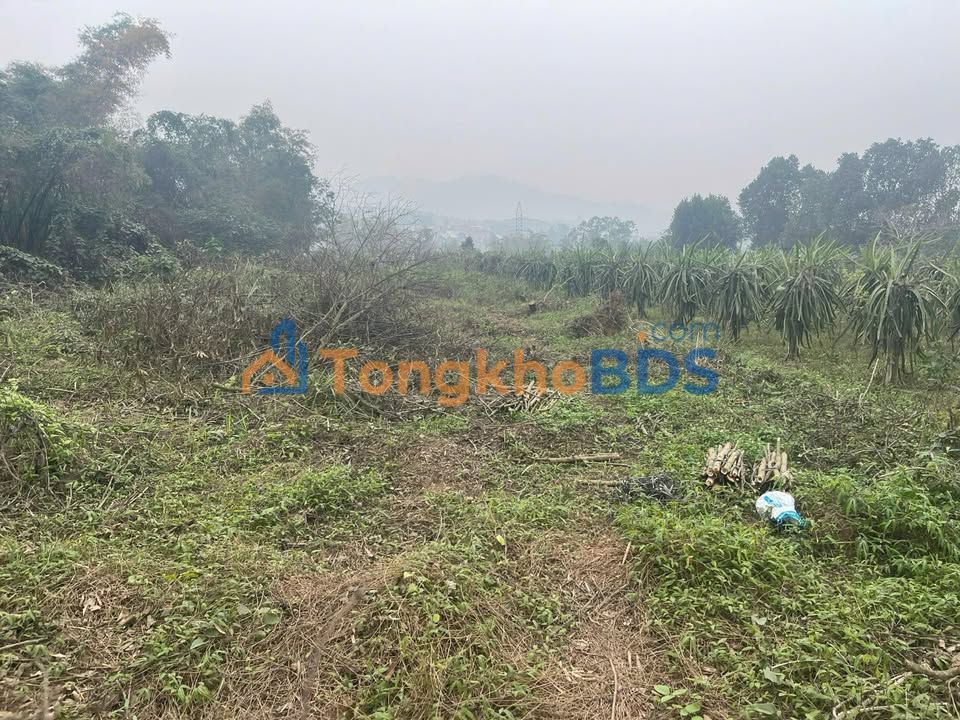 Đất nền mặt QL 70B, Phú Thọ - 400m² bám suối, giá 1 tỷ xx