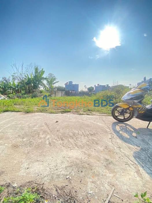 Đất nền Thái Bình - 86m² - Ô tô tận đất - Giá 1 tỷ xx triệu