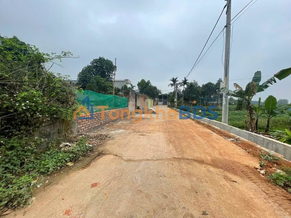 Đất Nền Hợp Châu Tam Đảo 99m² - Sổ Đỏ Sẵn Sàng Đầu Tư