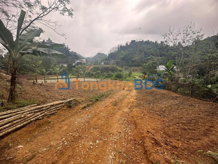 Bán Đất Vườn 800m² Thái Nguyên - Sẵn 100m² Thổ Cư, Giá 800 Triệu