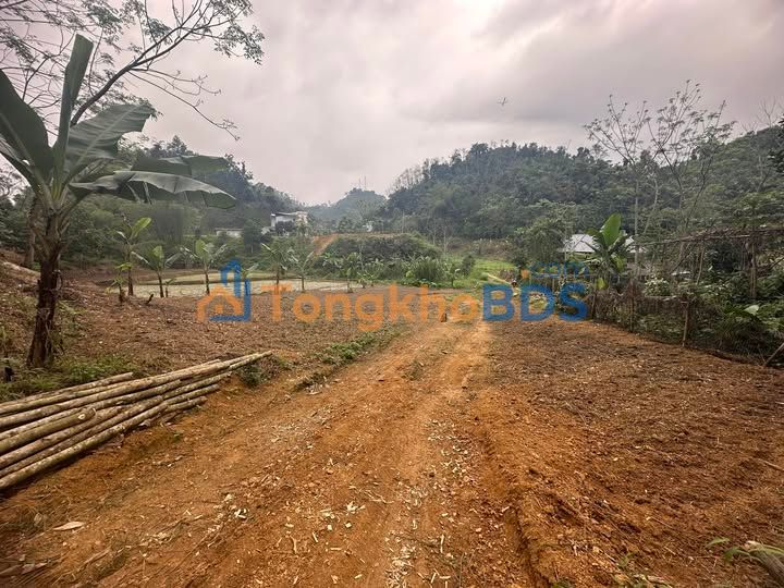 Đất nền 781m² Phường Đức Xuân, Thái Nguyên - Sổ hồng sẵn