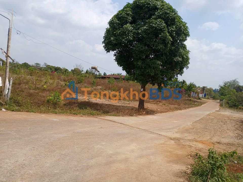 Đất 2 Mặt Tiền Y Ngông, Cư Kuin - 900m² TC, Giá Tốt Đầu Tư