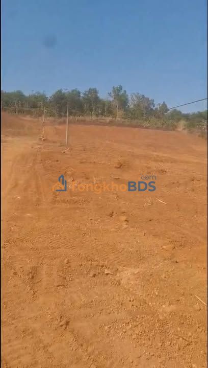 Đất Farm Ea Tul, Cư M'gar - 1.6ha Bám Suối, Sổ Đỏ, Giá Đầu Tư 13x Triệu/Sào