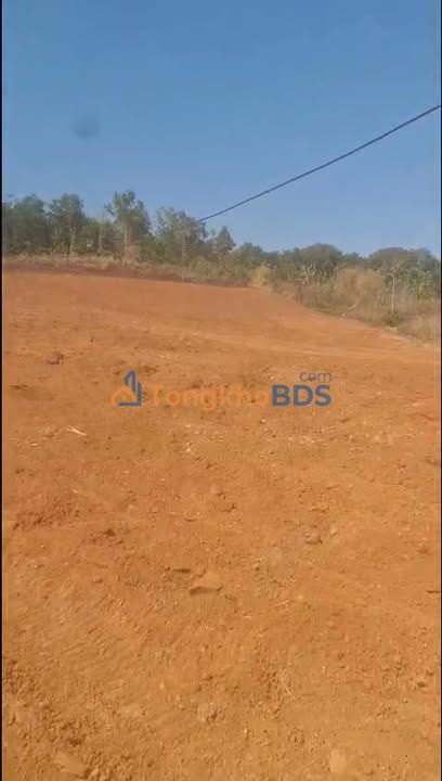 Đất Nền Đắk Lắk 16000m² Sổ Đỏ - Giá Tốt Đầu Tư