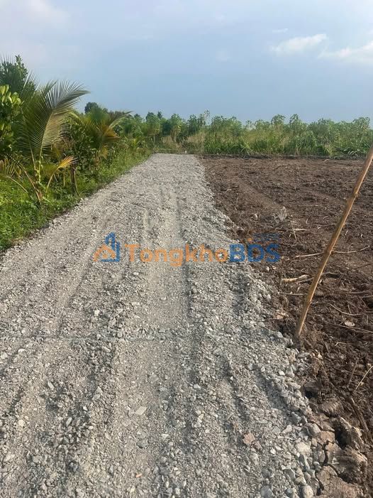 Đất Vườn Long An 507m² - Giá Đầu Tư Chỉ 3.8 Tỷ Tại Bình Đức