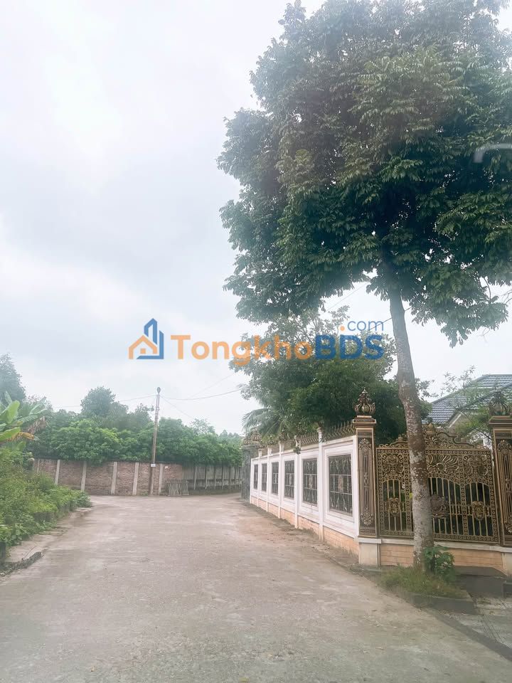 Bán Đất Cầu Miễu, Phúc Yên 188m² Full Thổ Cư - Sân Lưu Không Rộng