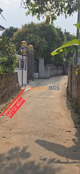 Đất Vàng Tiên Lữ 383m² - Mặt Tiền Rộng 12.46m - Sổ Hồng Sẵn Sàng