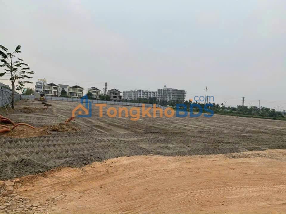 Biệt thự Timesgarden Vĩnh Yên - 600m² View Hồ Đầm Vạc - Sẵn Sàng Sở Hữu