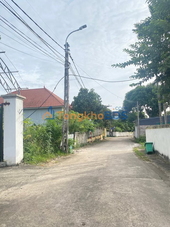 Đất Nền Phú Ninh, Tam Dương - 100m² Sổ Đỏ Chính Chủ, Giá Tốt