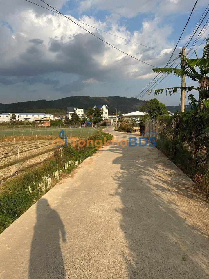 Đất nền Phú Hội 150m² giá 850 triệu - Sổ đỏ chính chủ