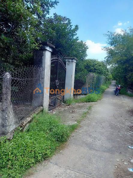 Đất Vàng Củ Chi 2989m² Full Thổ Cư - Hai Mặt Tiền Thoáng Đẹp