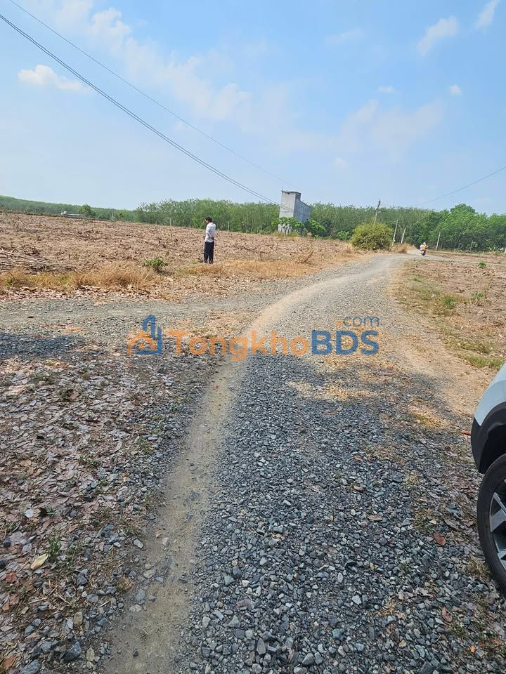 Đất Nền 500m² Hớn Quản, Bình Phước - Giá 3xx Triệu, Sổ Hồng Sẵn Sàng