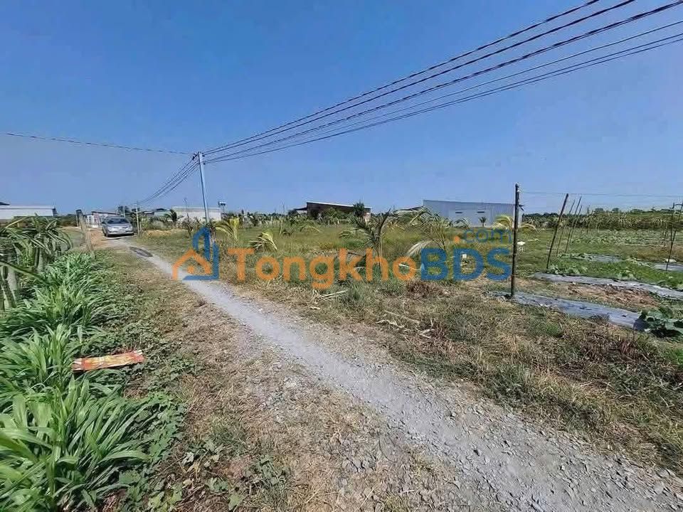 Đất Vườn Long An 1000m² Sổ Đỏ Giá Đầu Tư 450 Triệu