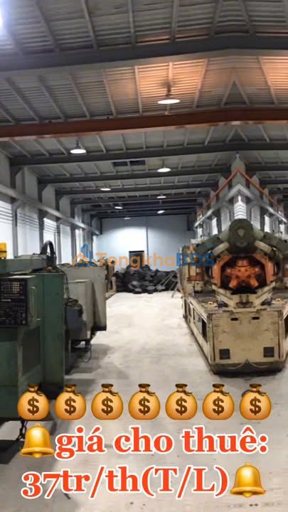 Cho thuê kho xưởng Bình Tân 462m² - Container ra vào thuận tiện