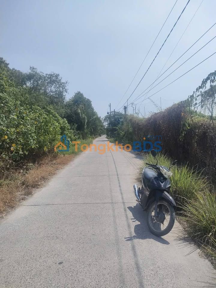 Đất Nền Mặt Tiền Đường Đan 539m² Xã Thạnh Lợi, Bến Lức - Cơ Hội Đầu Tư Sinh Lời