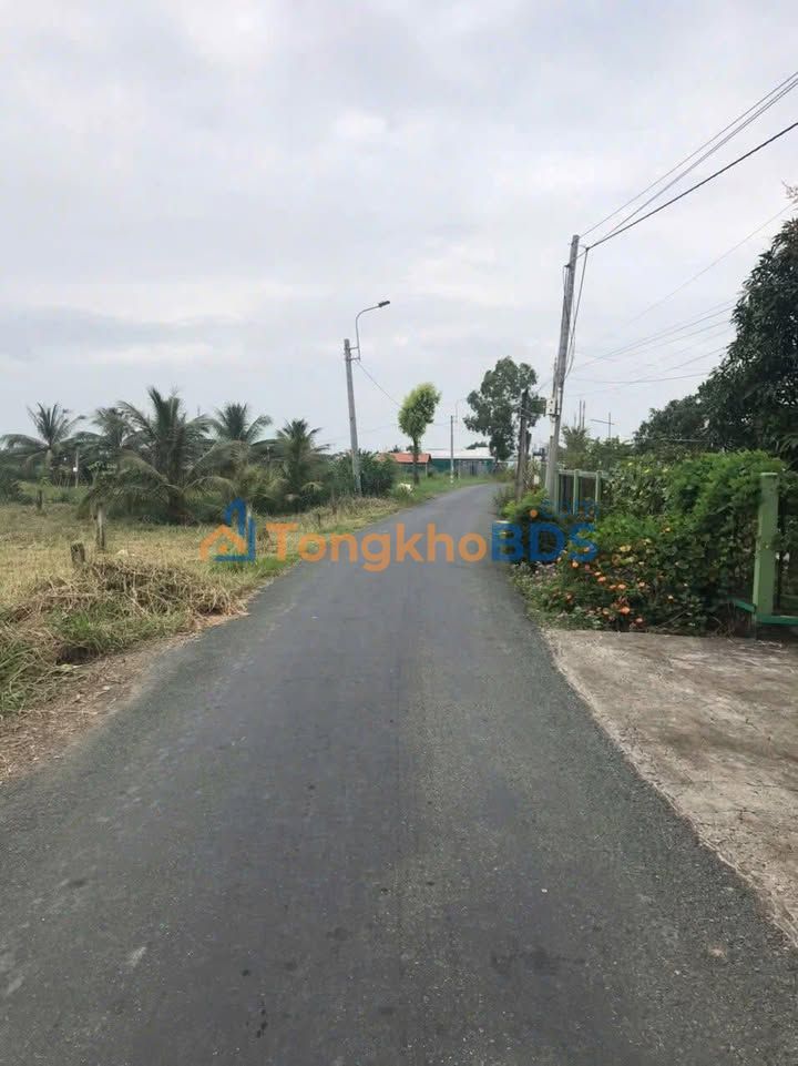 Đất Nền Đức Hòa 160m² - Sổ Hồng Sẵn Sàng - Giá Tốt 1.25 Tỷ