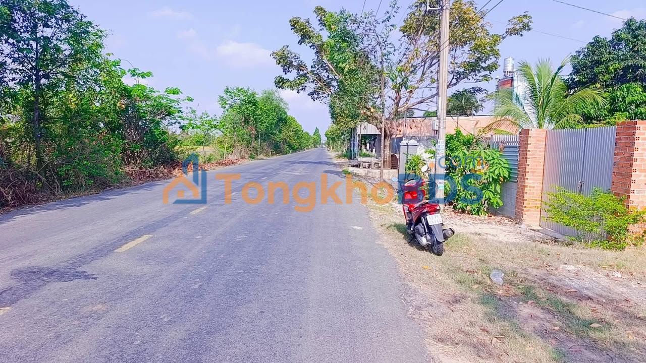 Đất Mặt Tiền Nhựa Basa Gò Mối, Đức Hòa - 511m² Kinh Doanh Đắc Lợi