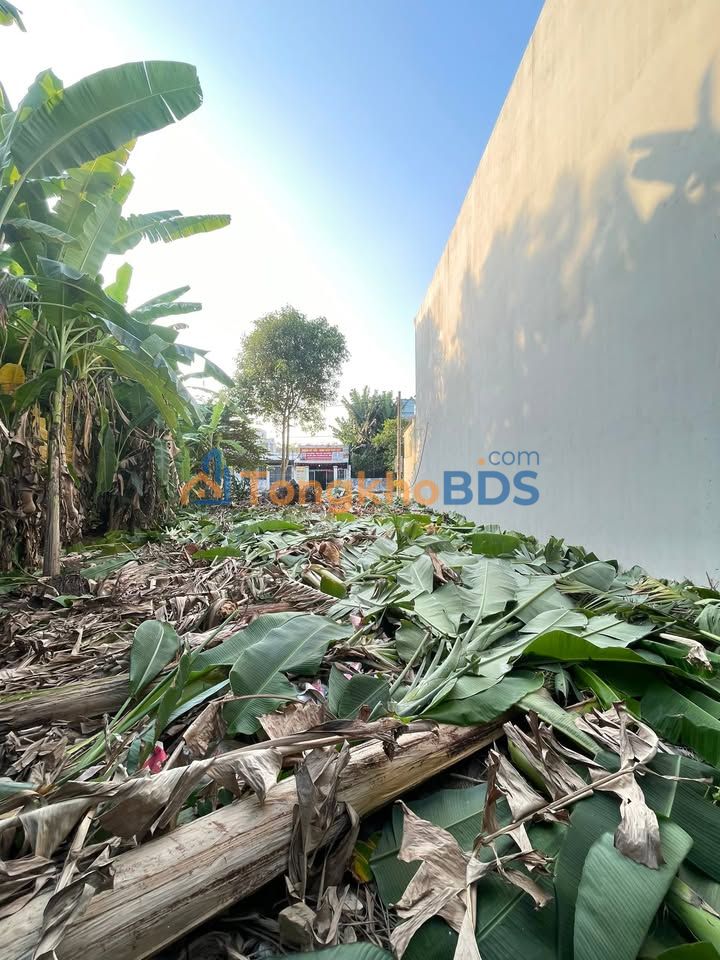 Đất Nền TĐC Hai Thành, Cần Giuộc - 108.6m² - Sẵn Sàng Xây Dựng