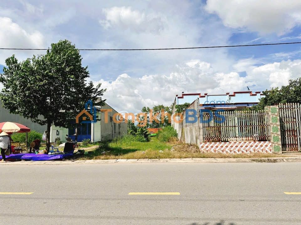 Đất Mặt Tiền TL825 Bến Lức Long An 364m² Thổ Cư - Giá Tốt