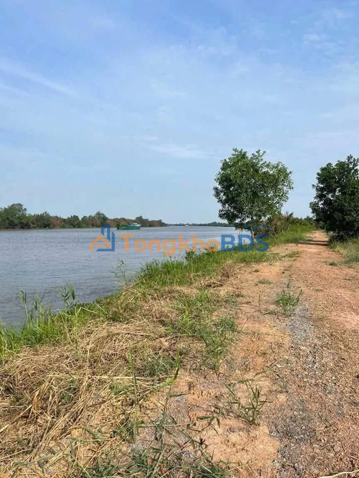 Đất Vườn Mặt Sông Vàm Cỏ - Bến Lức, Long An 1700m² Giá Tốt
