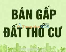 Bán Đất Lục Nam 366m² - Mặt Tiền 10m, Có Sẵn Nhà, Pháp Lý Rõ Ràng