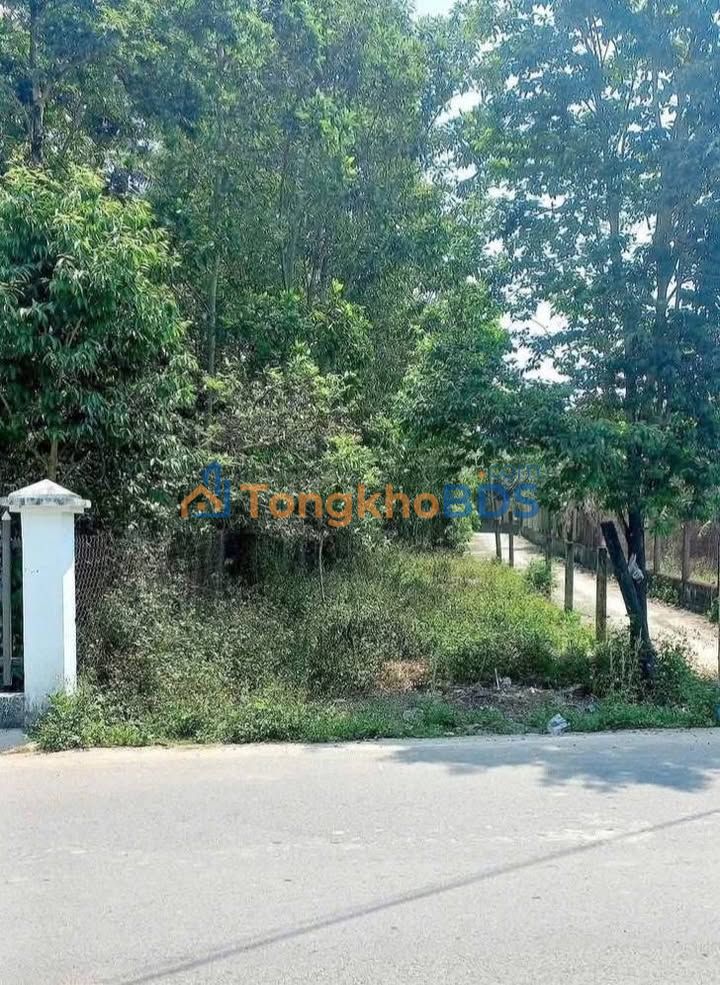 Đất nền HAMYA, Đức Phổ (130m²) - Góc 2 mặt tiền, kinh doanh/đầu tư sinh lời