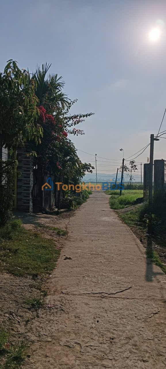 Bán Đất Thổ Cư 150m² Xã Long Phụng, Quảng Ngãi - Sẵn Sàng Xây Nhà