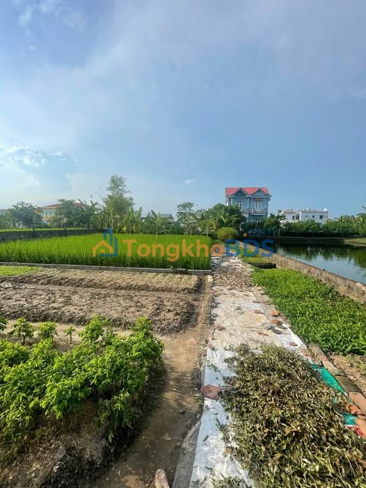 Đất nền Minh Quang, Vũ Thư - 105m² full thổ cư, ô tô thông, giá chỉ 5xx triệu