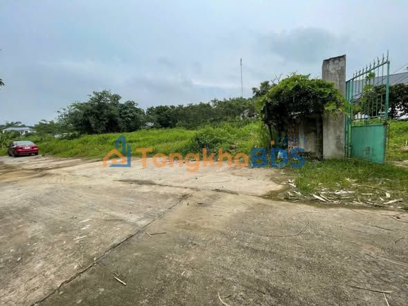 Đất nền Tam Dương Vĩnh Phúc 182m² - Sẵn sàng xây dựng, gần KCN