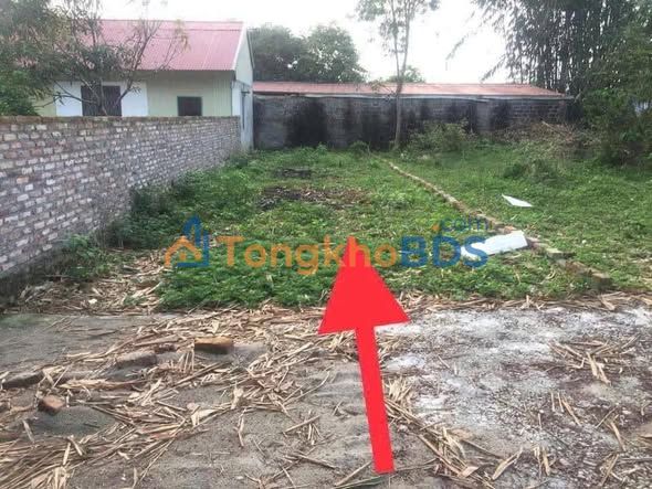 Đất Thổ Cư 100m² Thôn Xuân Mới, Vĩnh Yên - Giá Tốt Nhất Khu Vực