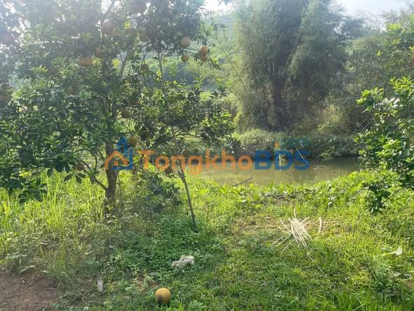 Bán Đất Nền Cao Phong, Hòa Bình 3509m² - Sổ Đỏ Thổ Cư, Giá 3 Tỷ