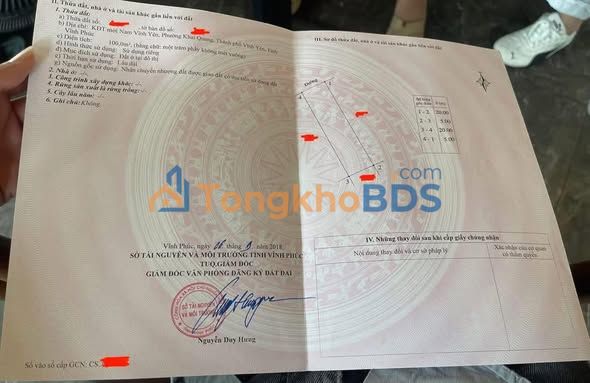 Đất nền KĐT Nam Vĩnh Yên 100m² - Lô góc thoáng, hướng TB giá 4.x tỷ