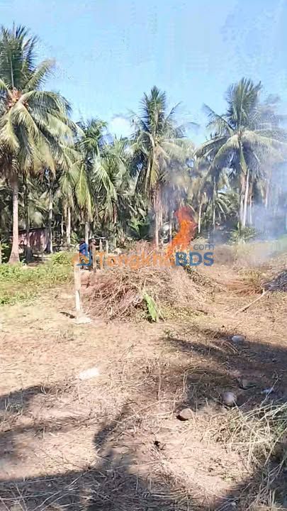 Đất Nền Tân Phú Đông, Tiền Giang - 165m² Thổ Cư, Giá 249 Triệu