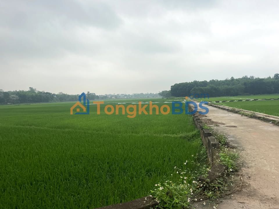 Đất Vườn Sóc Sơn 3000m² - Sổ Đỏ Sẵn Sàng - Giá Đầu Tư Hấp Dẫn