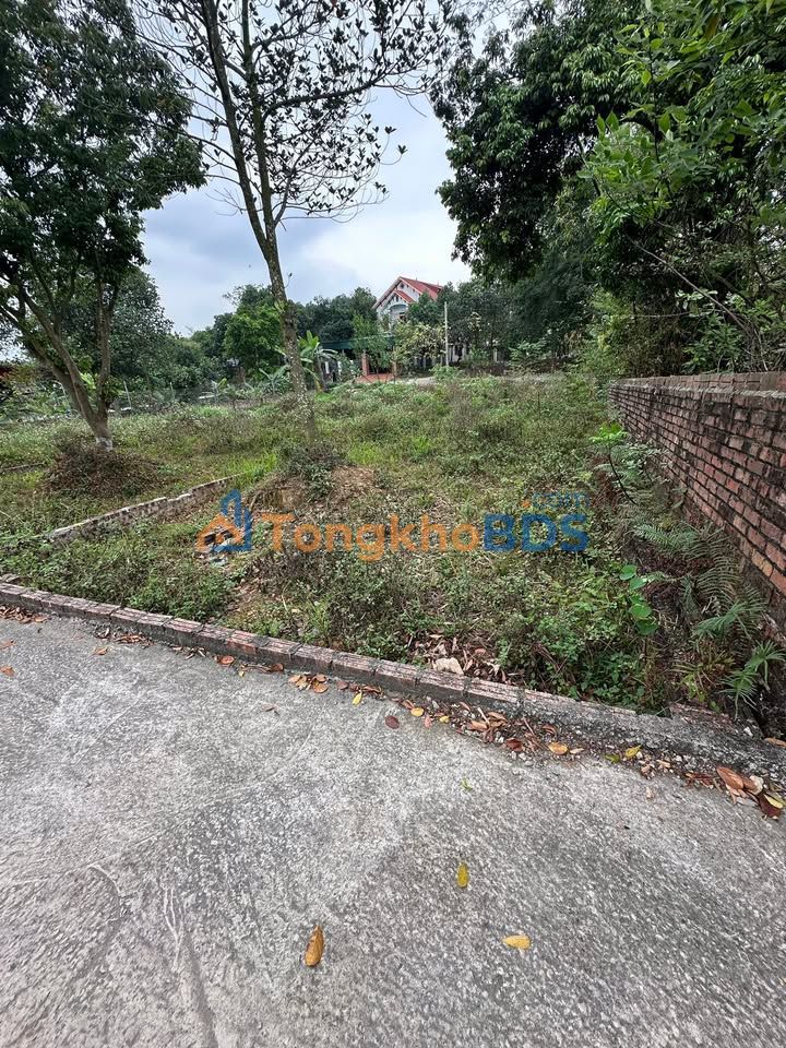 Bán đất Dược Thượng Sóc Sơn 98m² - Sổ đỏ sẵn, ô tô tránh