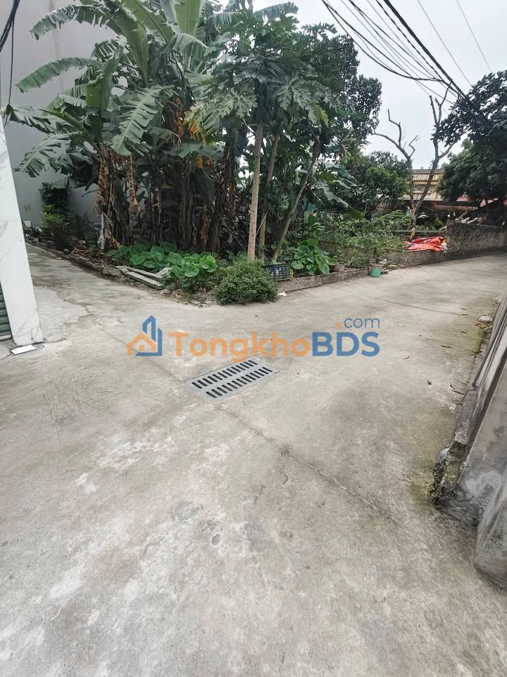 Bán Đất Lô Góc Tiên Dương, Đông Anh 43m² - Sẵn Sàng Xây Nhà