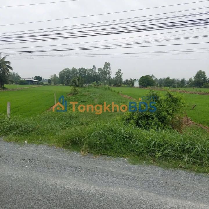 Bán đất mặt tiền Quốc lộ 62, Long An - 660m² kinh doanh/kho xưởng